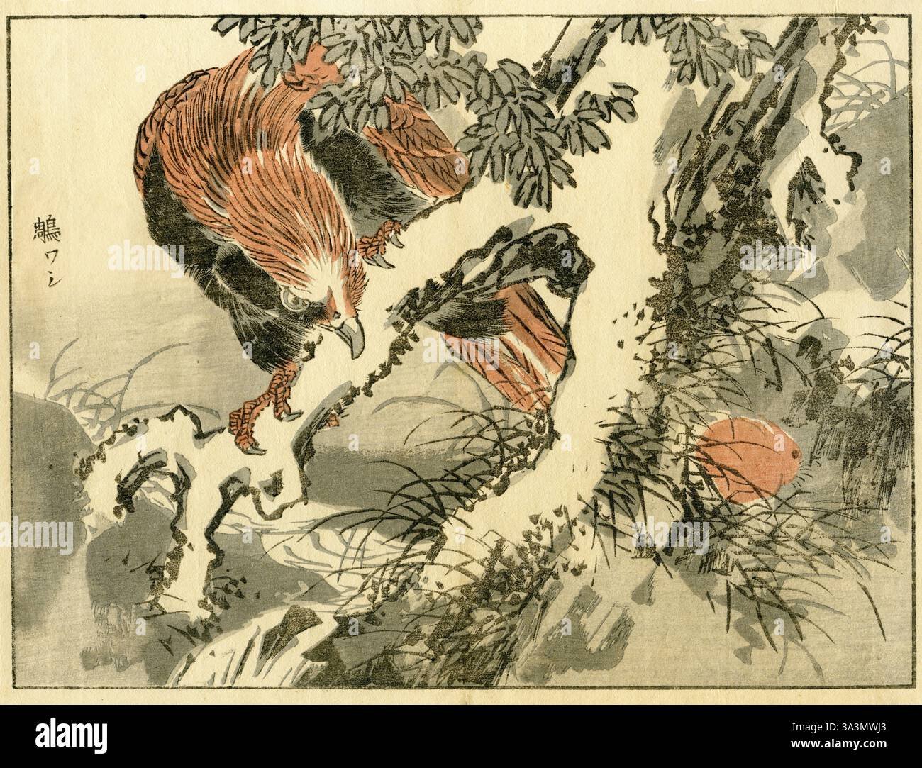 Japanese Birds and Flowers: The Treasures of Kono Bairei