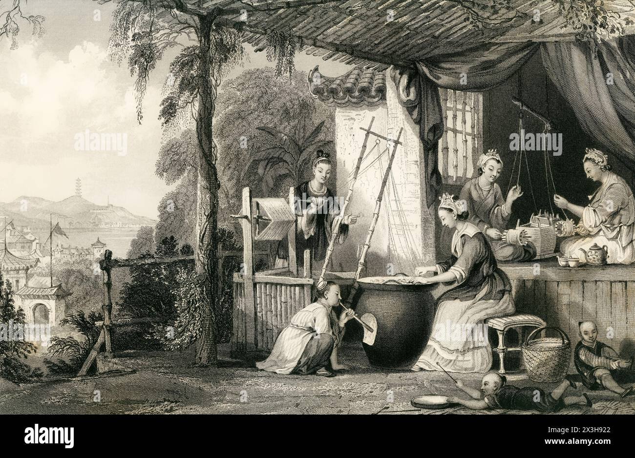 [VOL II] DESTROYING THE CHRYSALIDES, AND WINDING OFF THE COCOONS